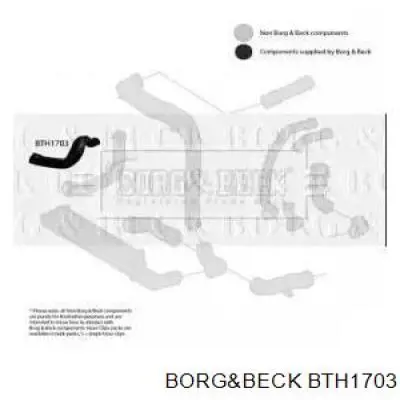 BTH1703 Borg&beck mangueira (cano derivado direita de intercooler)