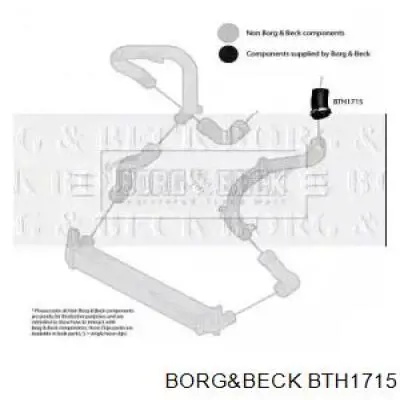 BTH1715 Borg&beck mangueira (cano derivado superior esquerda de intercooler)