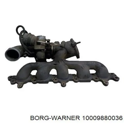 10009880036 Borg-Warner/KKK turbina