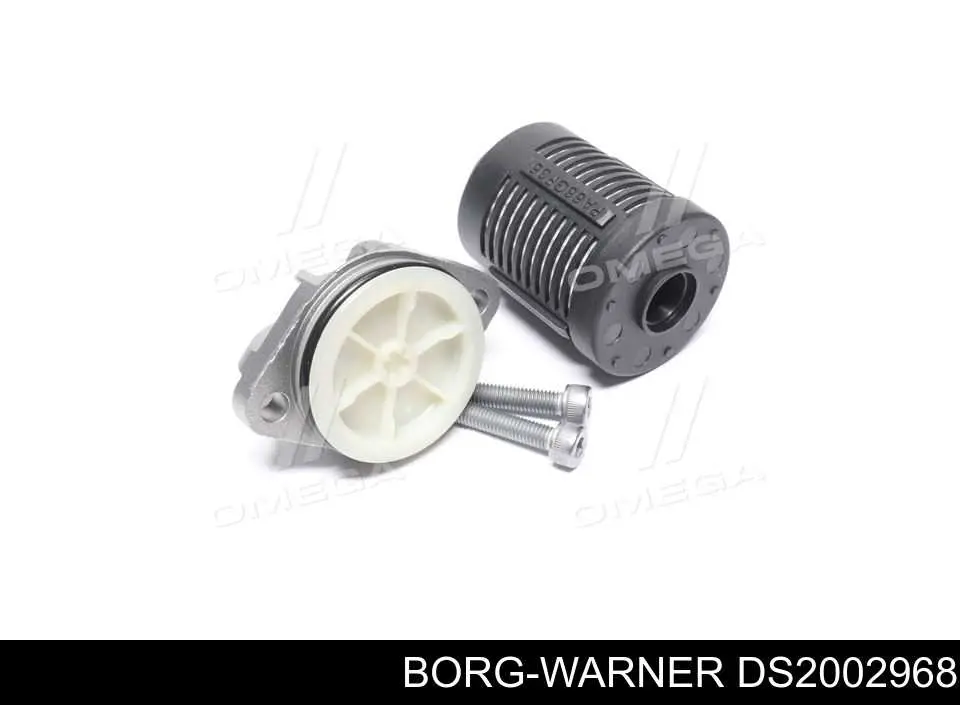 DS2002968 Borg-Warner/KKK фильтр заднего редуктора (муфты haldex)