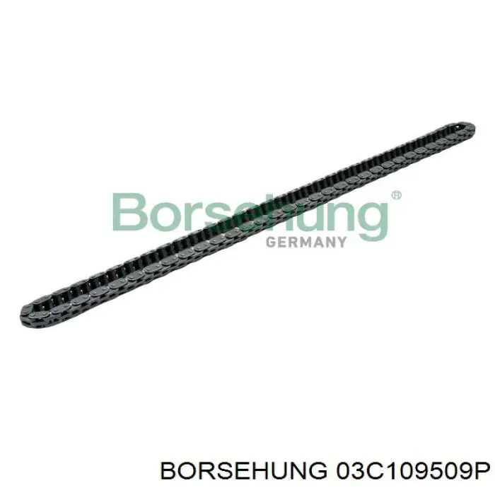 03C109509P Borsehung Башмаки цепи ГРМ