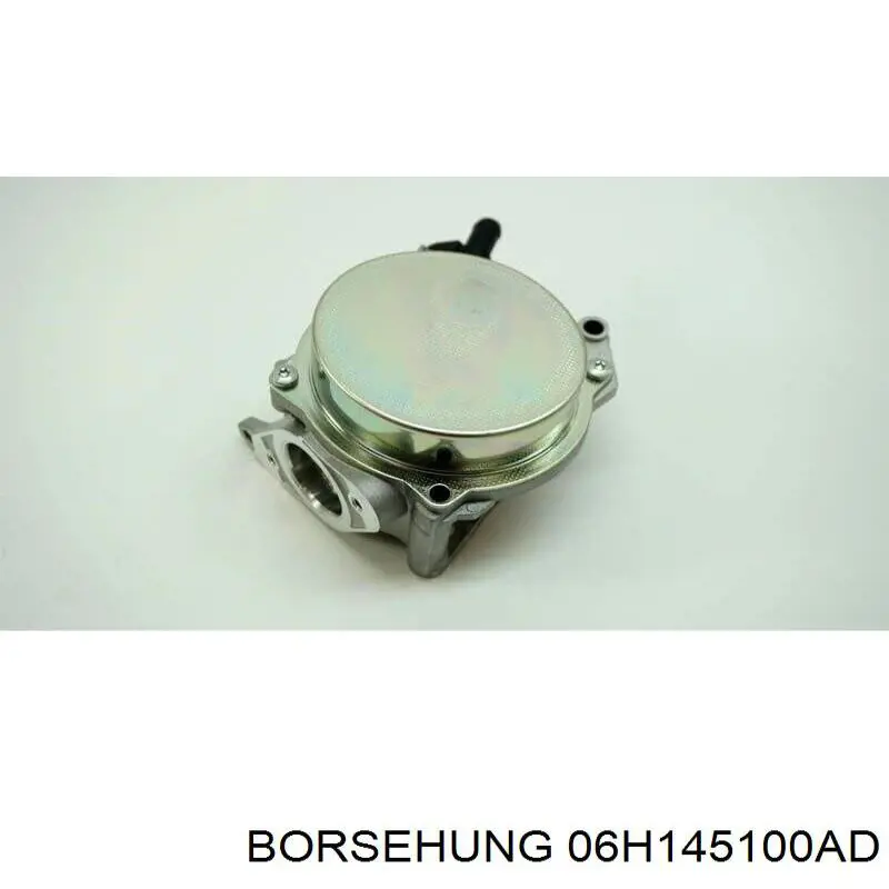 Вакуумный насос 06H145100AD Borsehung