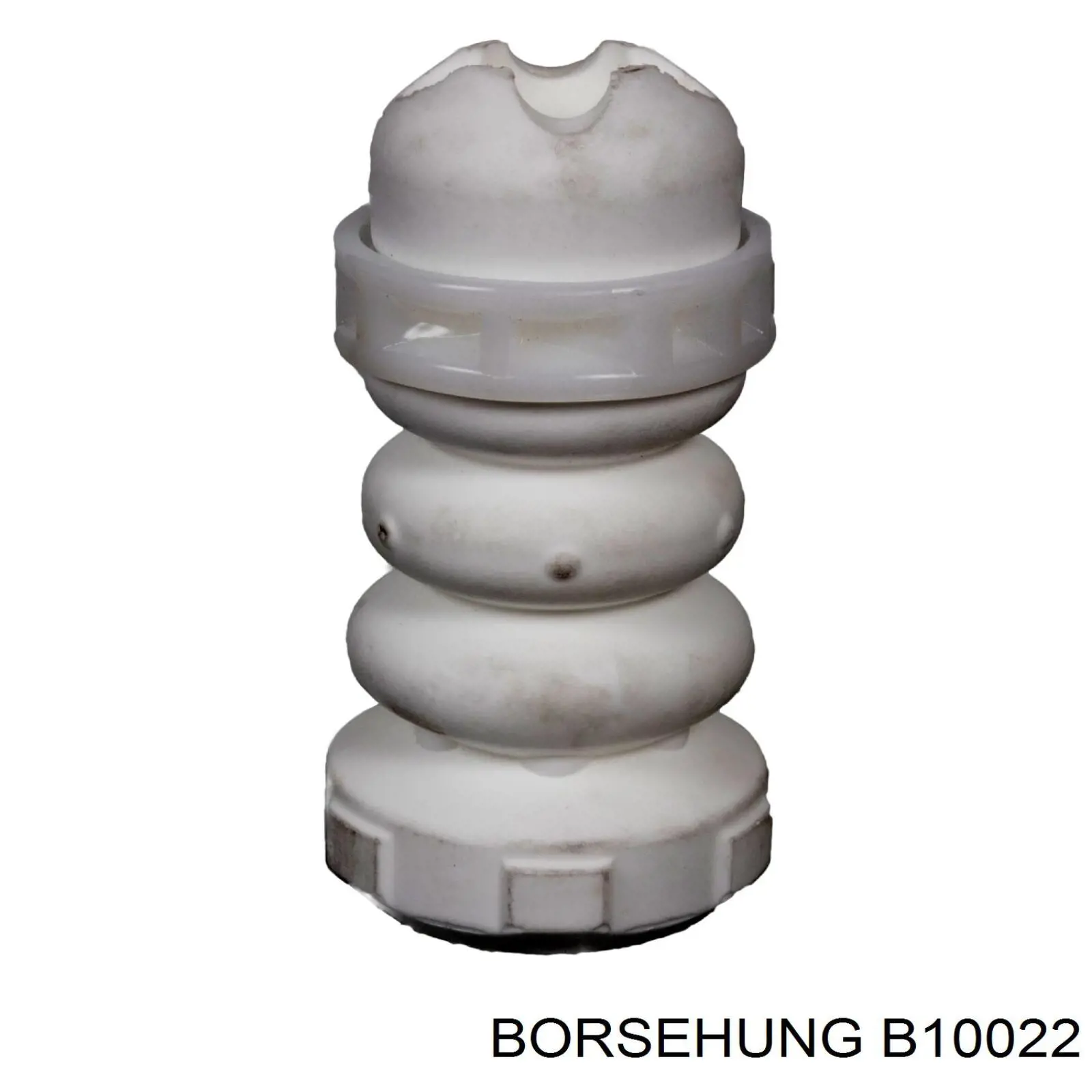 B10022 Borsehung