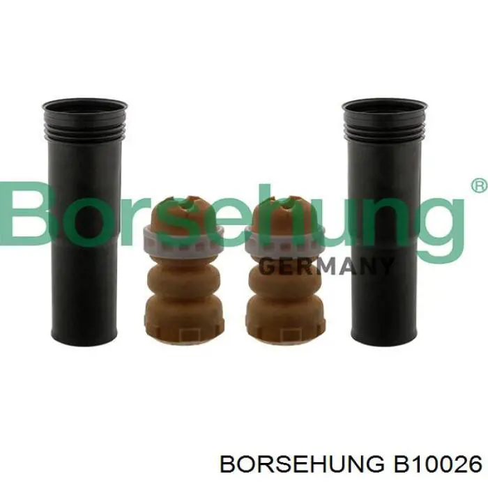  B10026 Borsehung