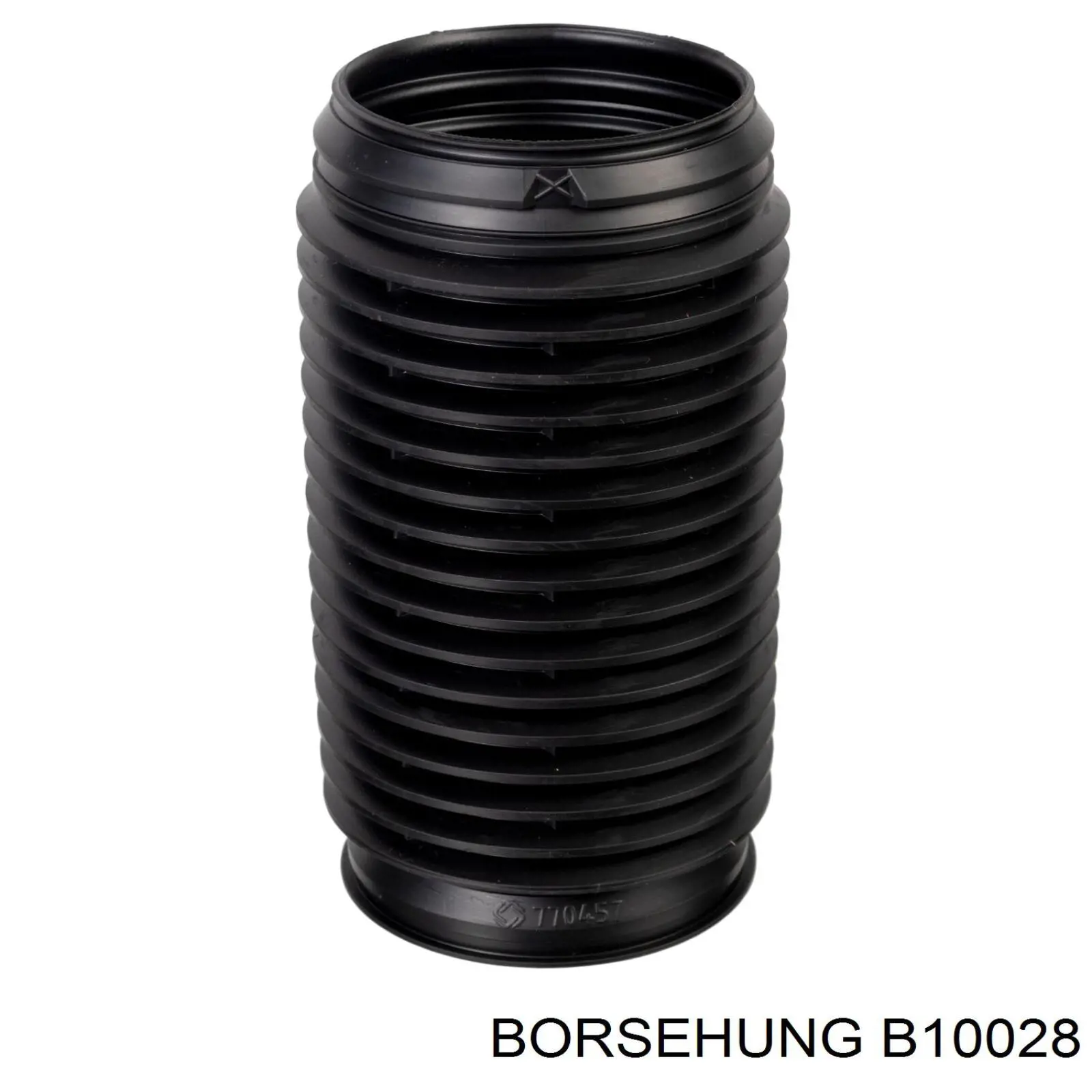 B10028 Borsehung