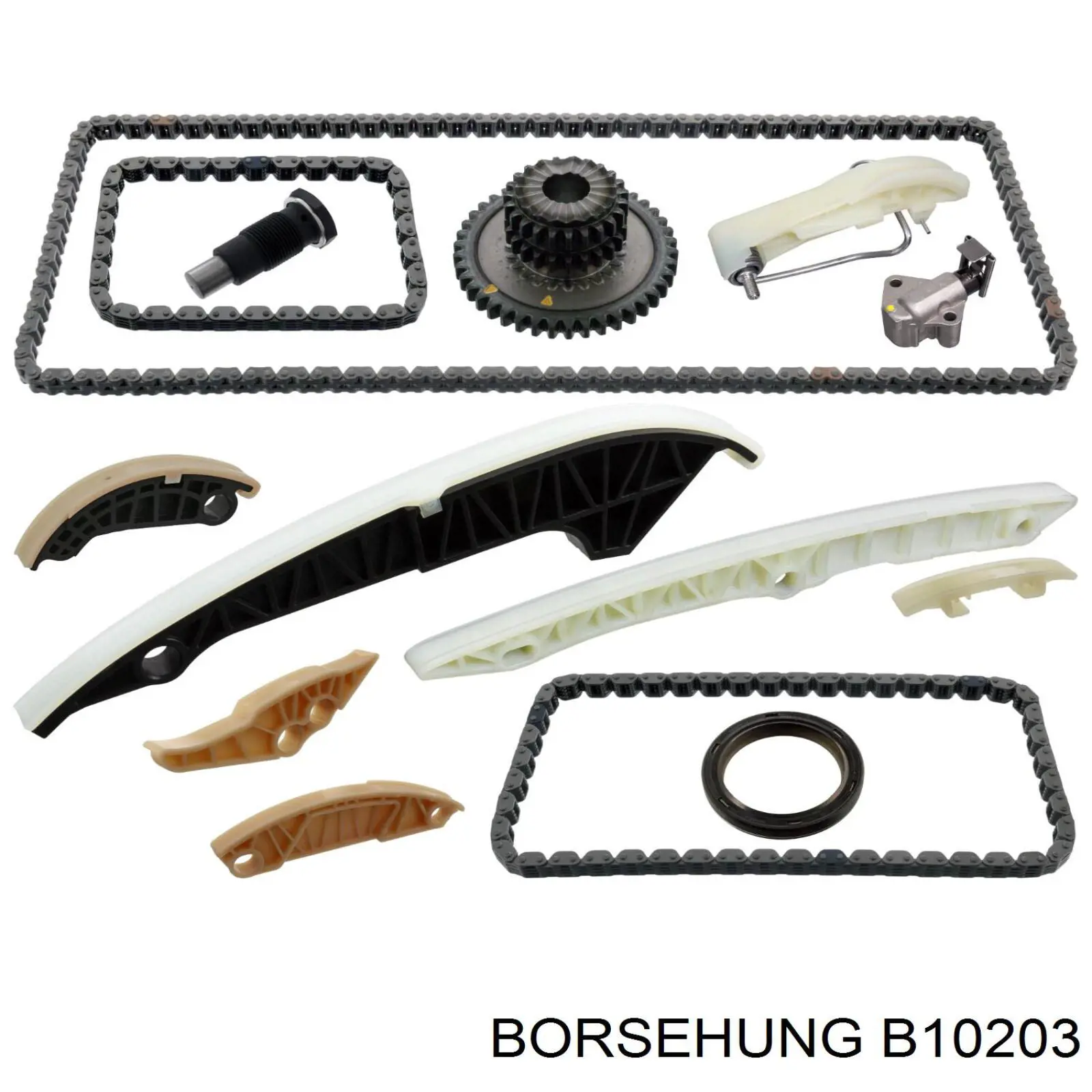 B10203 Borsehung