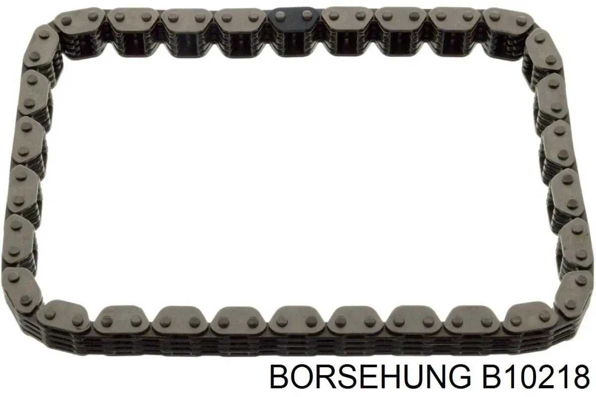 B10218 Borsehung