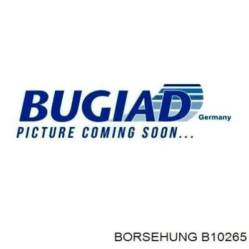 Замок капота Borsehung B10265 цена, от 20.86 USD