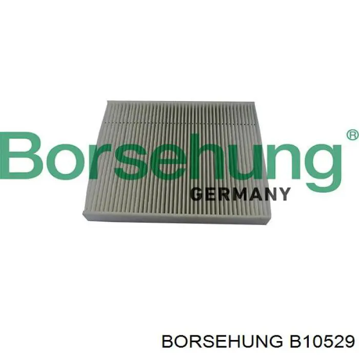 B10529 Borsehung filtro de salão