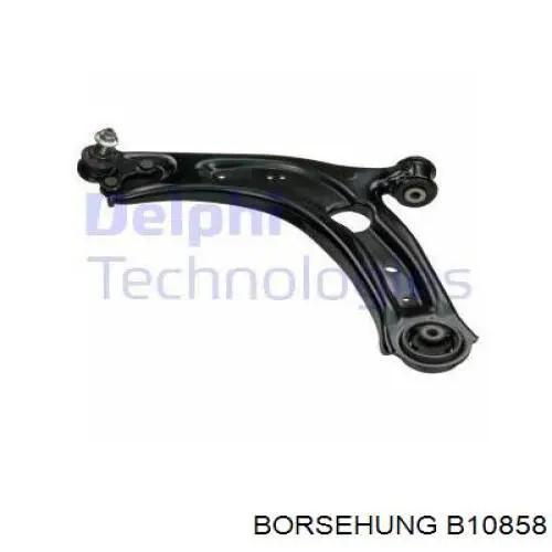 B10858 Borsehung