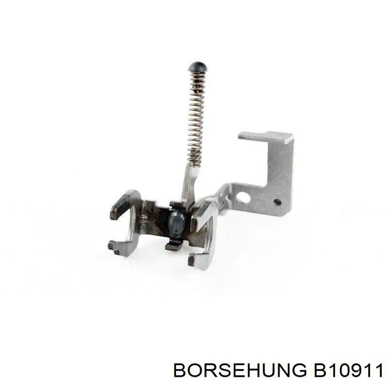 B10911 Borsehung