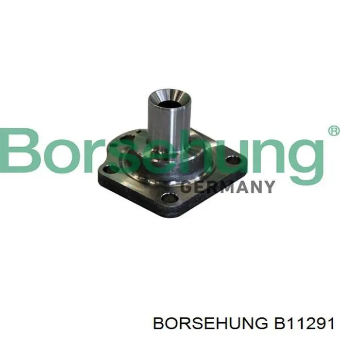  B11291 Borsehung