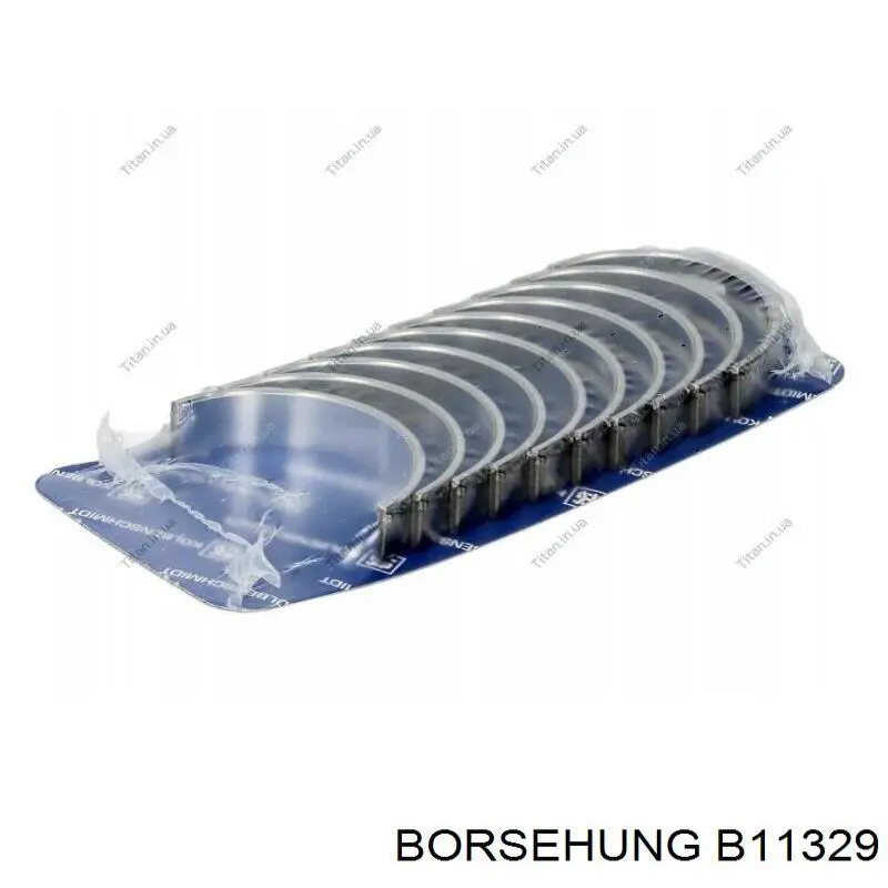  B11329 Borsehung