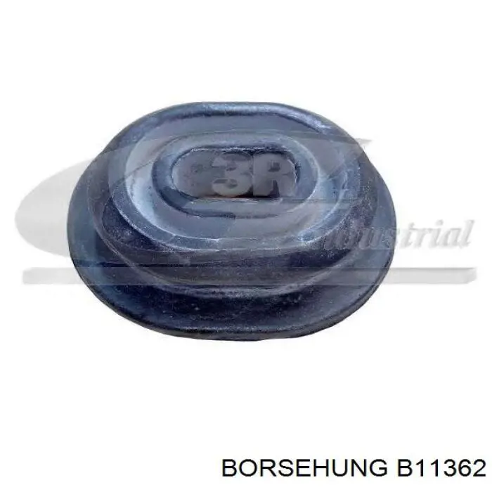 B11362 Borsehung