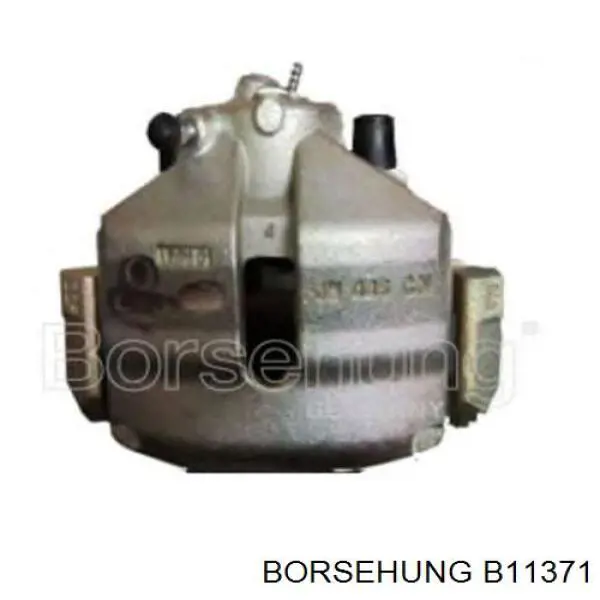 B11371 Borsehung