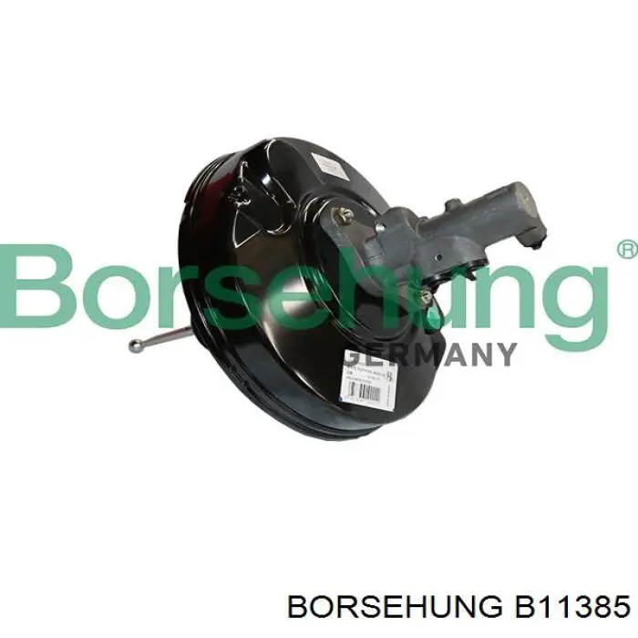 B11385 Borsehung