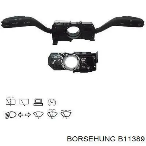 B11389 Borsehung