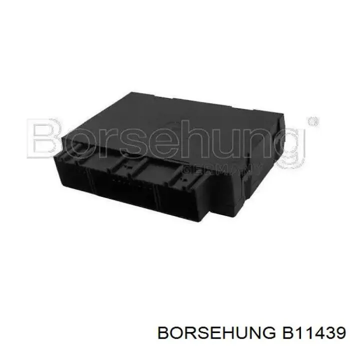 B11439 Borsehung