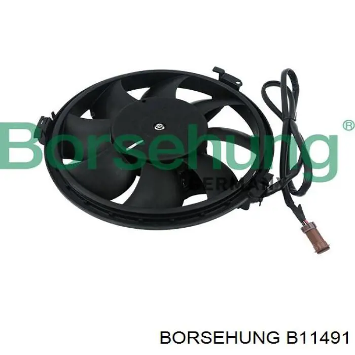 B11491 Borsehung