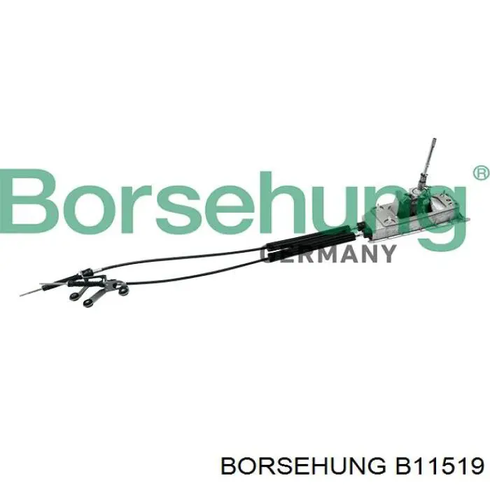 B11519 Borsehung