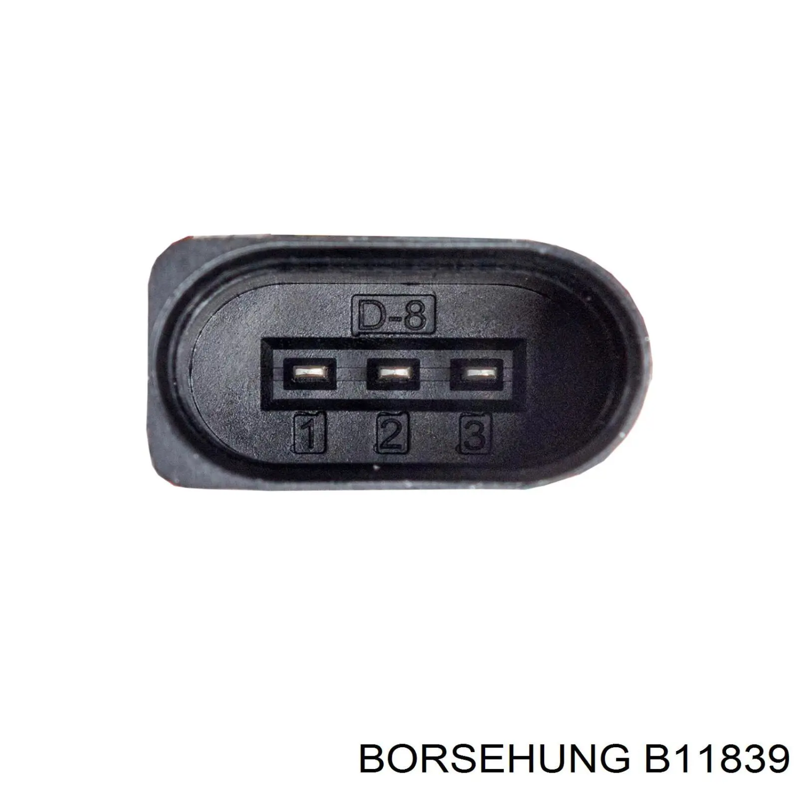 B11839 Borsehung