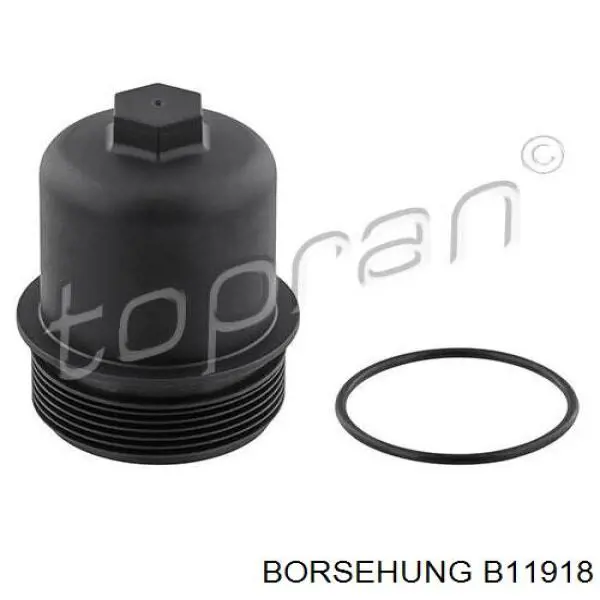 Separador de óleo (separador) do sistema de ventilação de cárter para Volkswagen Polo (AW1, BZ1)