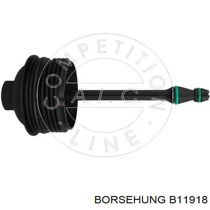 B11918 Borsehung