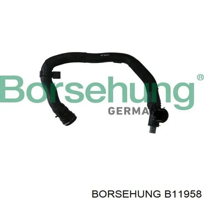 B11958 Borsehung 