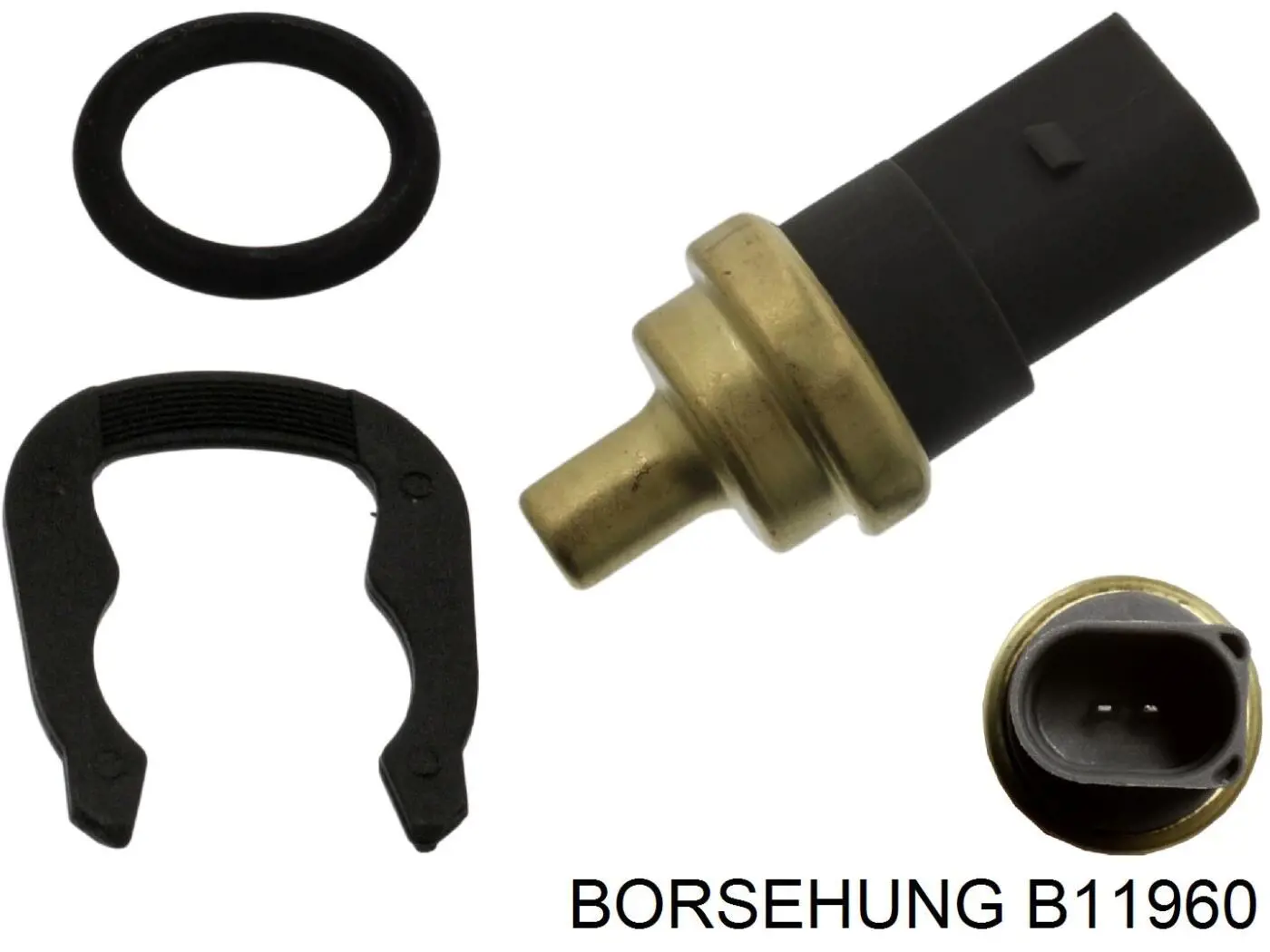 B11960 Borsehung mangueira (cano derivado inferior do radiador de esfriamento)