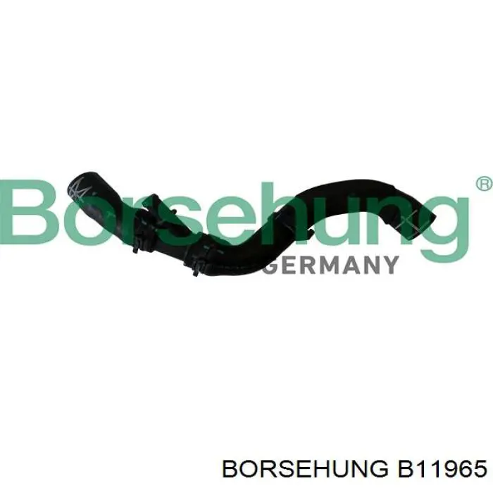 B11965 Borsehung шланг (патрубок радиатора охлаждения верхний)