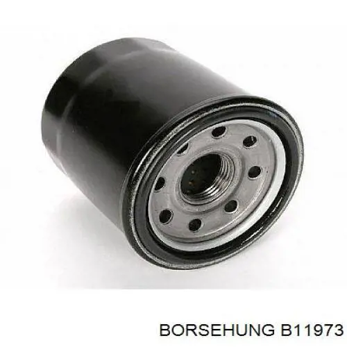 B11973 Borsehung mangueira (cano derivado esquerda de intercooler)