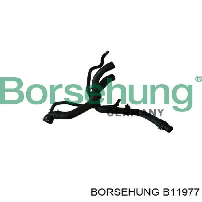 B11977 Borsehung 