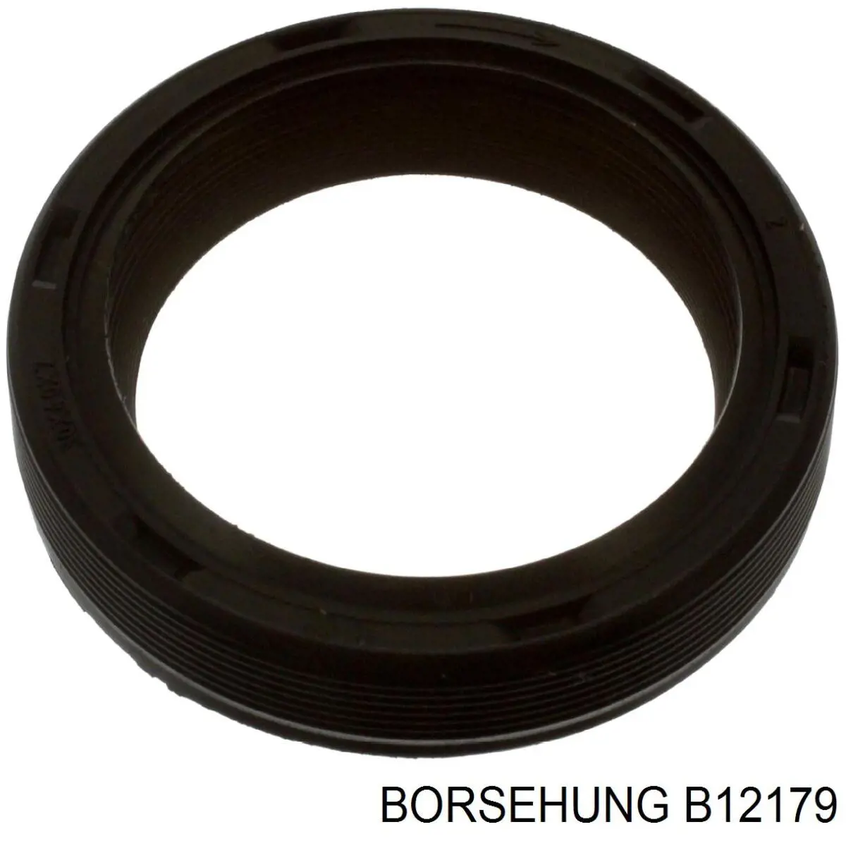 B12179 Borsehung