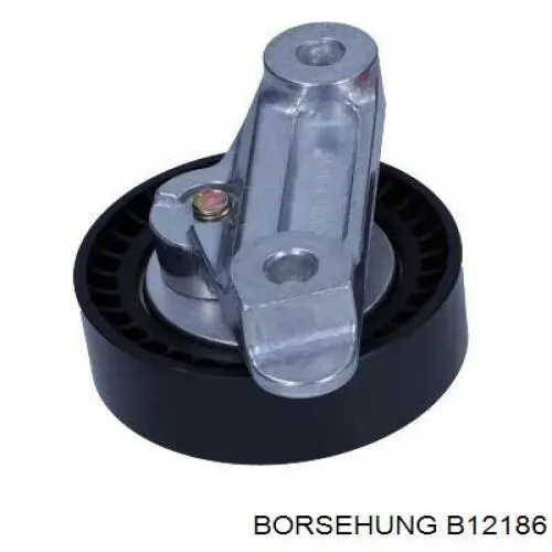 B12186 Borsehung