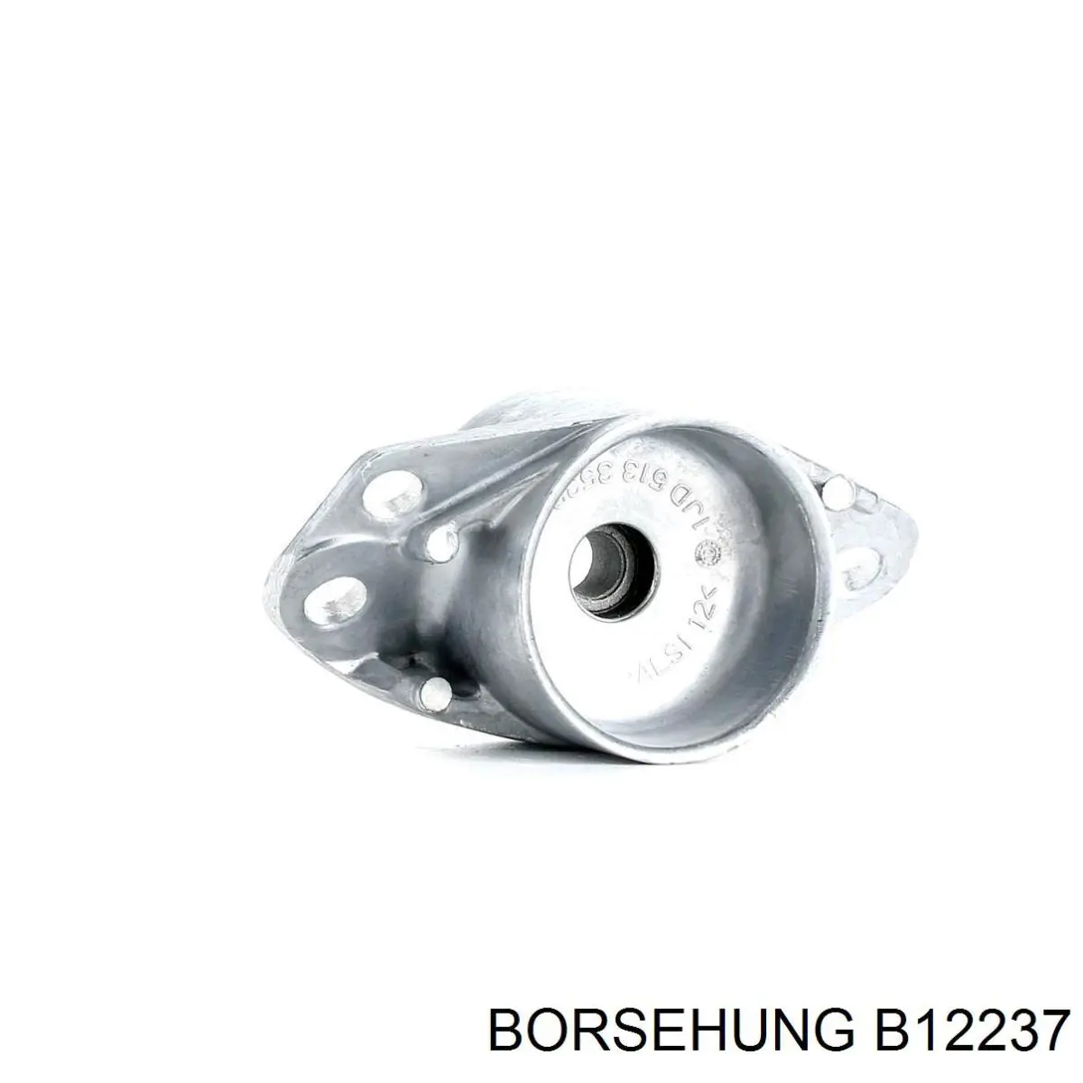 B12237 Borsehung