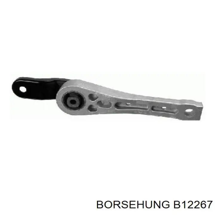 B12267 Borsehung