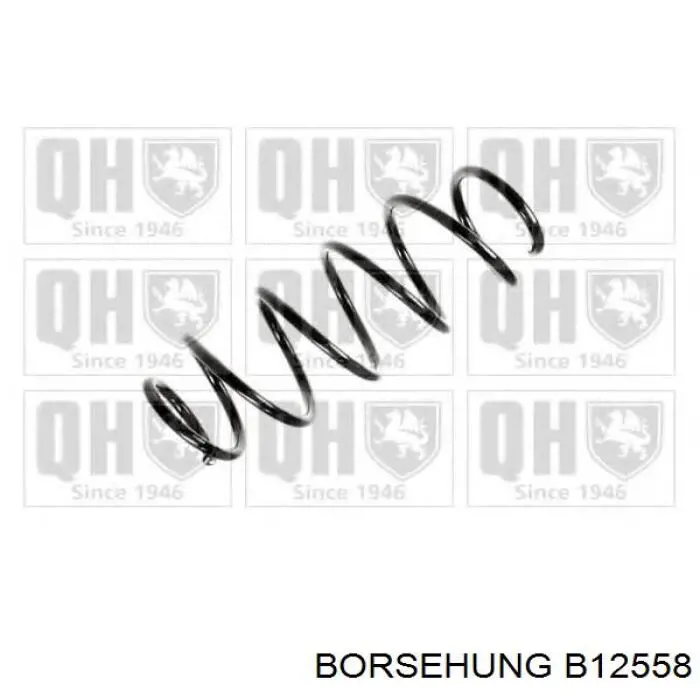 Пружина амортизатора передняя Borsehung B12558 цена, от 30.87 USD