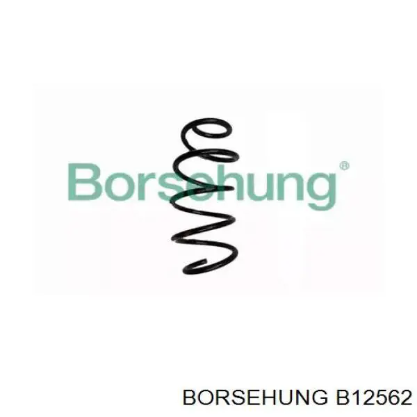 B12562 Borsehung пружина передняя