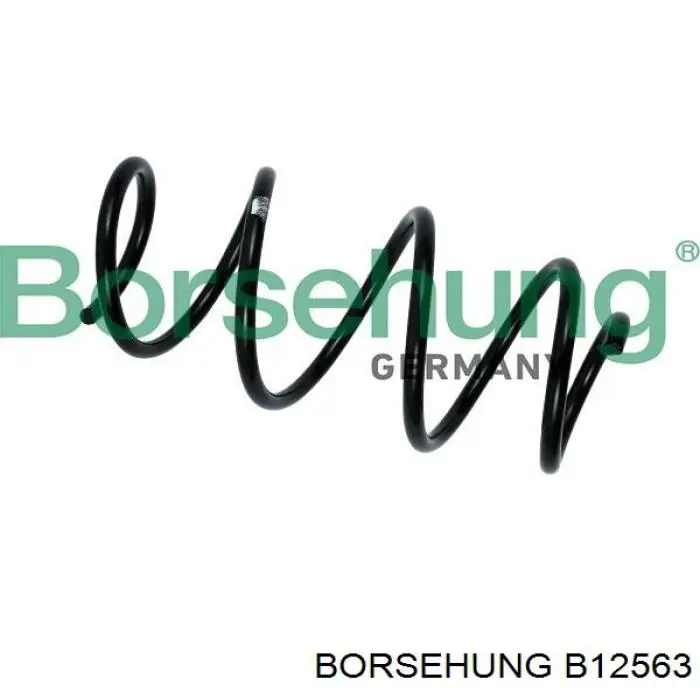 B12563 Borsehung mola dianteira