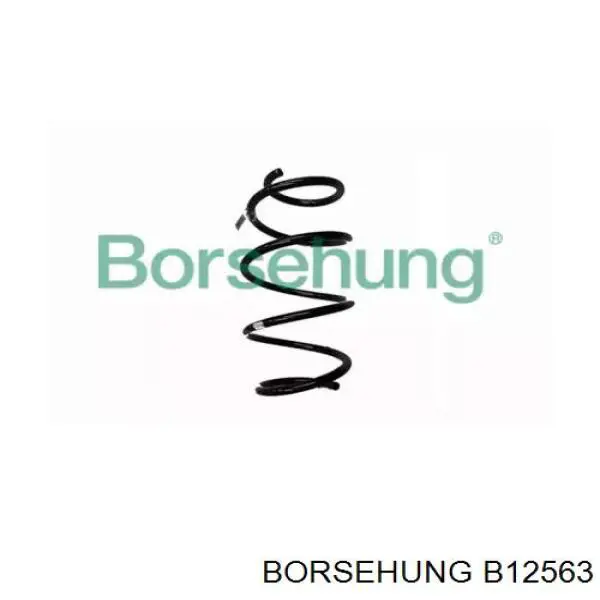 Пружина амортизатора передняя Borsehung B12563 цена, от 31.17 USD