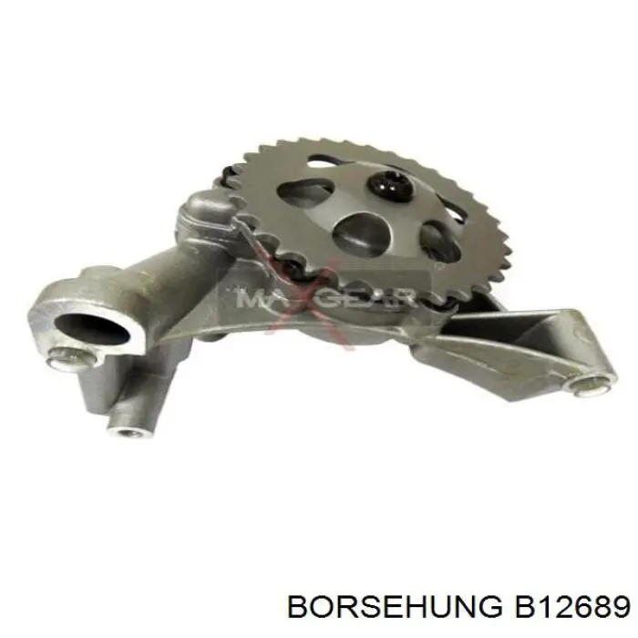 B12689 Borsehung