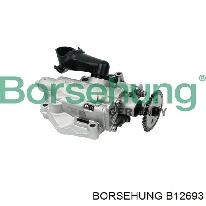 B12693 Borsehung