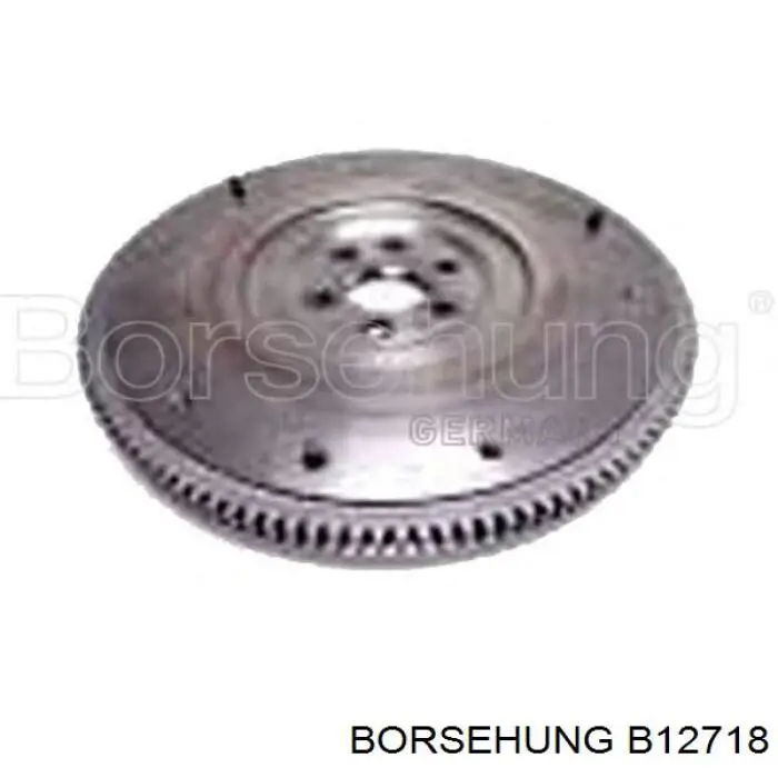 B12718 Borsehung