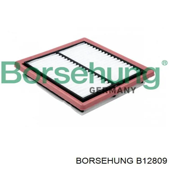 B12809 Borsehung filtro de ar