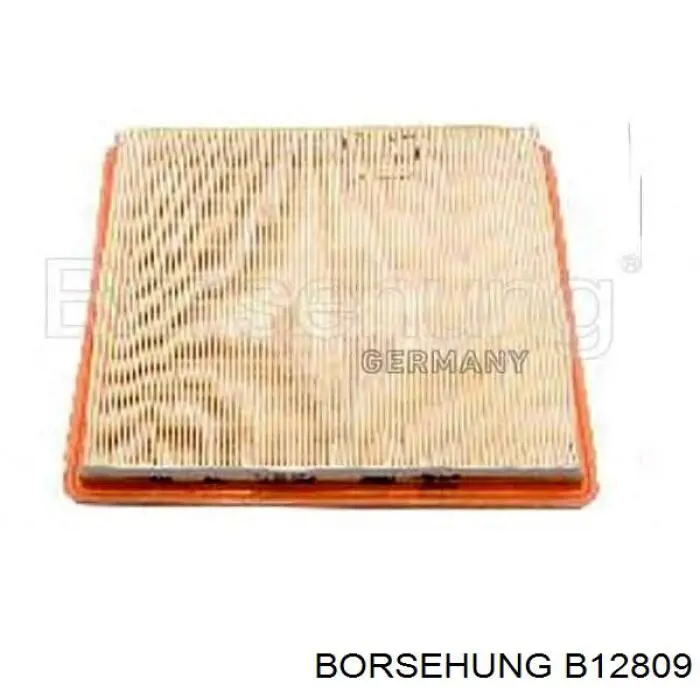 B12809 Borsehung