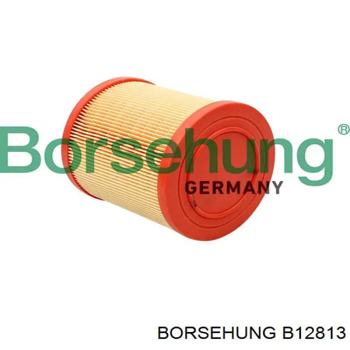 B12813 Borsehung