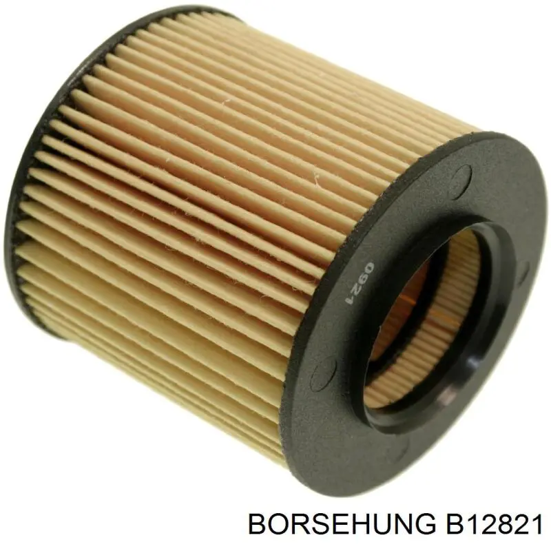 Купить B12821 Borsehung Фильтр центробежный очистки масла