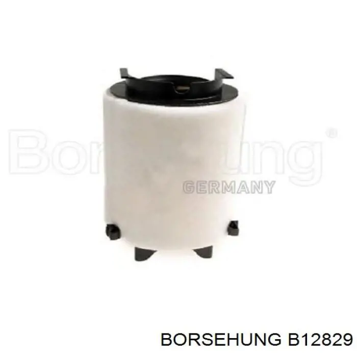 B12829 Borsehung корпус воздушного фильтра