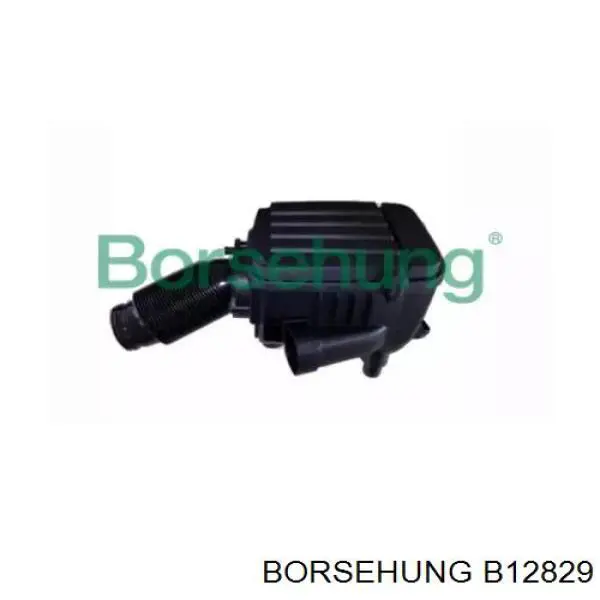Купить B12829 Borsehung Корпус воздушного фильтра