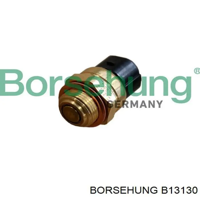 B13130 Borsehung